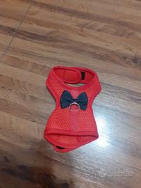 pettorine per conigli