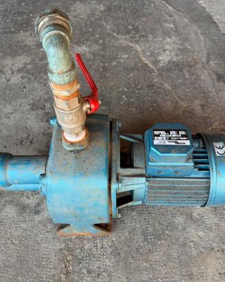Pompa acqua trifase 2,5 cavalli Alpha Pompe