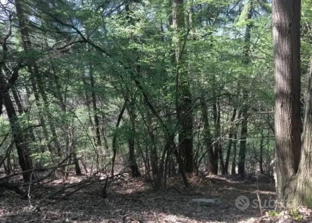 Immobile in asta di 13600 m² a Tavernerio - Vista 3