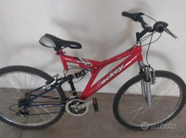 Bicicletta da 26