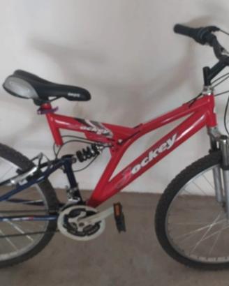 Bicicletta da 26