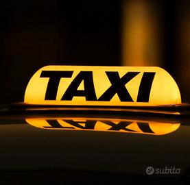 Azienda taxi in provincia di venezia