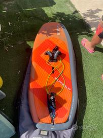 Tavola wing foil ensis