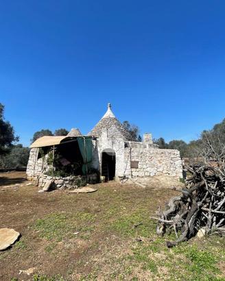 CASA DI CORTE A CEGLIE MESSAPICA