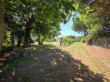 TER. RESIDENZIALE A ORVIETO
