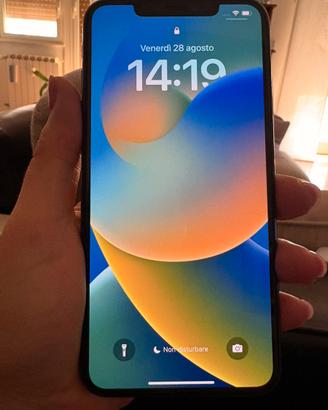 Iphone XS Max  64 Gb con custodie e pellicola