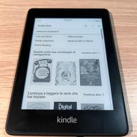 Kindle Paperwhite 10th edition