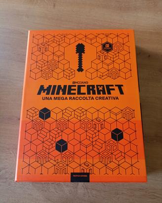libri Minecraft 