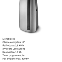 Pinguino DeLonghi PAC T06 eco - Climatizzatore/Deu