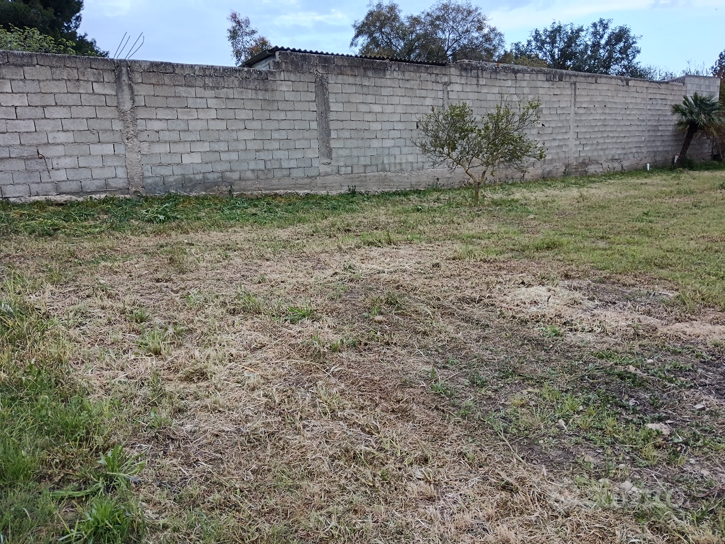 Terreno edificabile - Vista 3