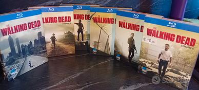 collezione The walking dead