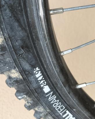 bicicletta 