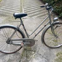 Bicicletta da donna o ragazza