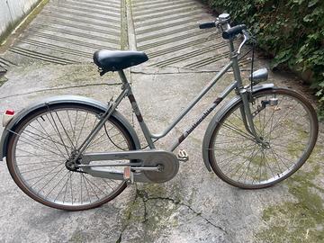 Bicicletta da donna o ragazza