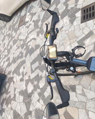 Bicicletta con pedalata assistita