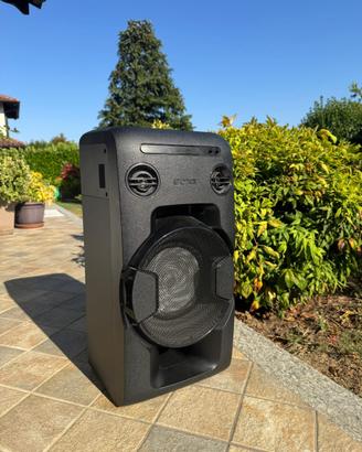 Cassa amplificata SONY