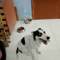 Zoe dagli occhi azzurri