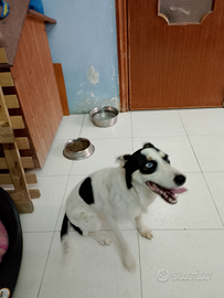 Zoe dagli occhi azzurri