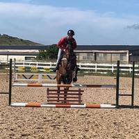 Cavallo AA