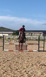 Cavallo AA