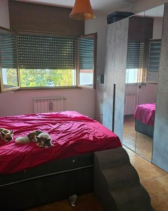 arredamento casa,