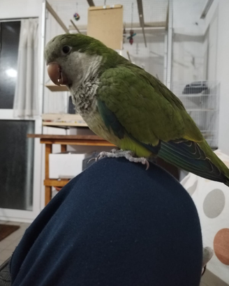 Piccoli per tutti