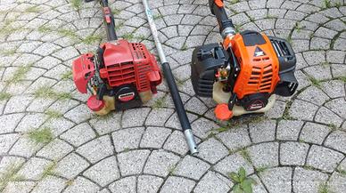 Decespugliatore e taglia rami