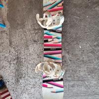Drake Charm 146 snowboard + Attacchi Drake Queen M