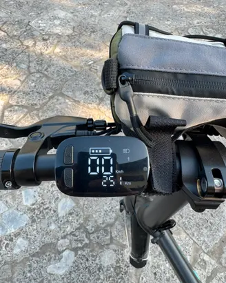 Bici elettrica ebike fiido d21