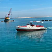 Fiart 33 Seawalker 2013