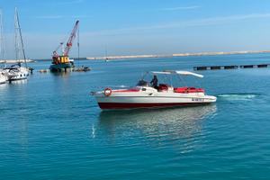 Fiart 33 Seawalker 2013