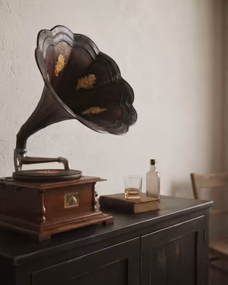 🎶 Grammofono stile antico, vintage + REGAL0 🌸