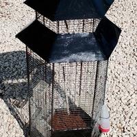 voliera per uccelli vari tipi anche per conigli