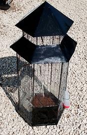 voliera per uccelli vari tipi anche per conigli