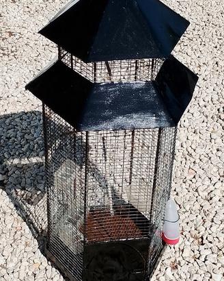 voliera per uccelli vari tipi anche per conigli