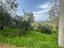 Immagine 21