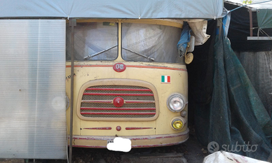 Om tigrotto camperizzato