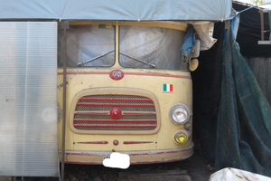 Om tigrotto camperizzato