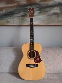 Maton Tommy Emmanuel EBG808 TE