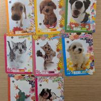 Carte Amici Cucciolotti Real Card – Lotto Card 