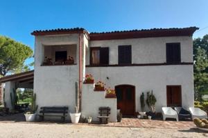 Tra i monti e il mare nel cuore delle Marche