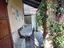 Immagine 10