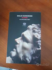 Libro 'Ulisse - l'ultimo eroe' Autore; Guido Rizzi