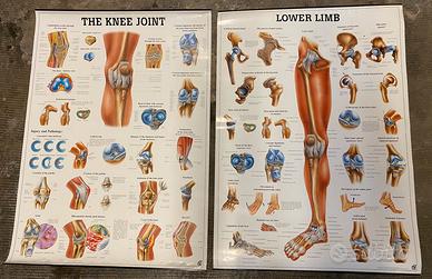 PANNELLI per studio MEDICO / FISIOTERAPICO