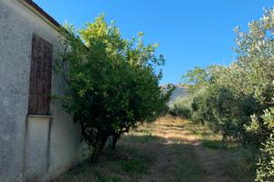 Terreno agricolo Cori