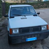FIAT Panda young