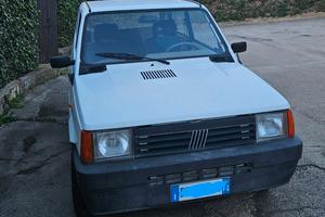 FIAT Panda young