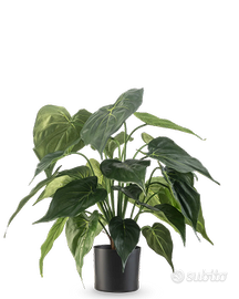 Pianta artificiale Alocasia 51 cm – EasyPlants