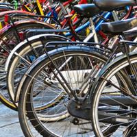 Bici Uomo, Donna, bambino,MTB è Passeggio.