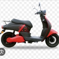 Scooter elettrico con targa